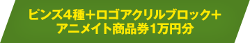 BEYBLADE X ピンズ4種＋ロゴアクリルブロックセット