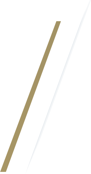BEYBLADE X