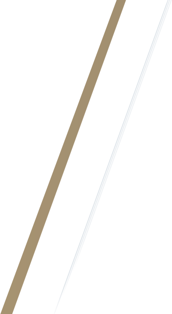 BEYBLADE X