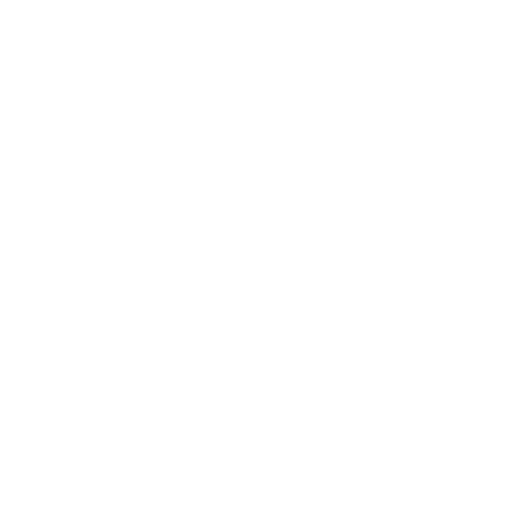 サエ
