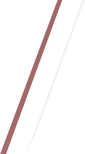 BEYBLADE X