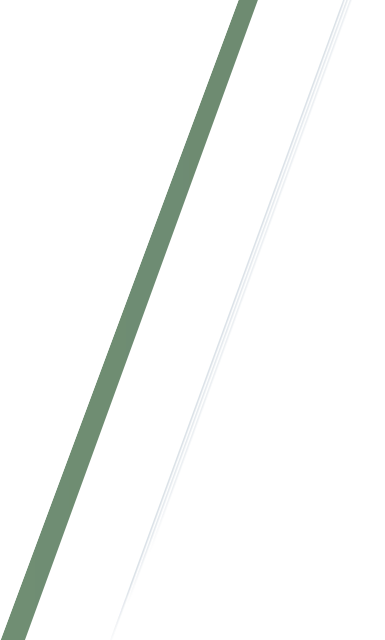 BEYBLADE X