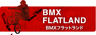 BMX フラットランド