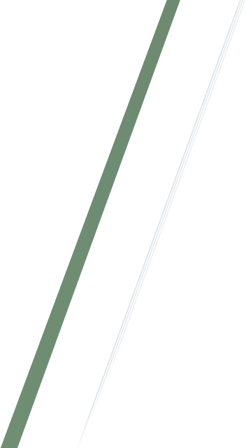 BEYBLADE X